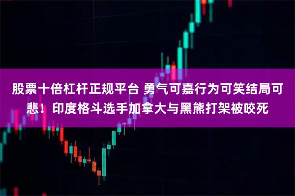 股票十倍杠杆正规平台 勇气可嘉行为可笑结局可悲！印度格斗选手加拿大与黑熊打架被咬死